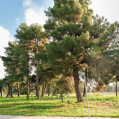Amazing Apartment Serres